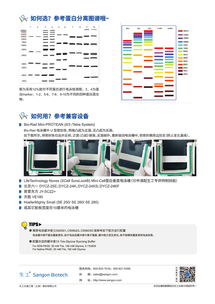 生工生物tris预制胶促销 高效科研，省时省力